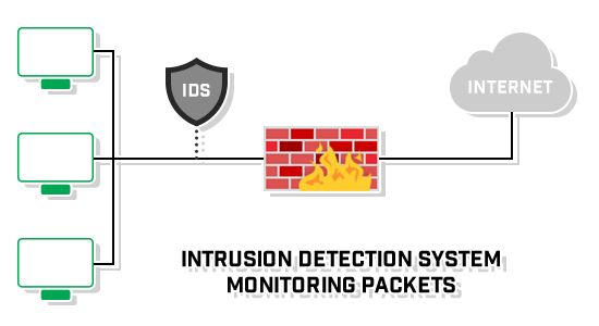 Introduction to IDS and IPS